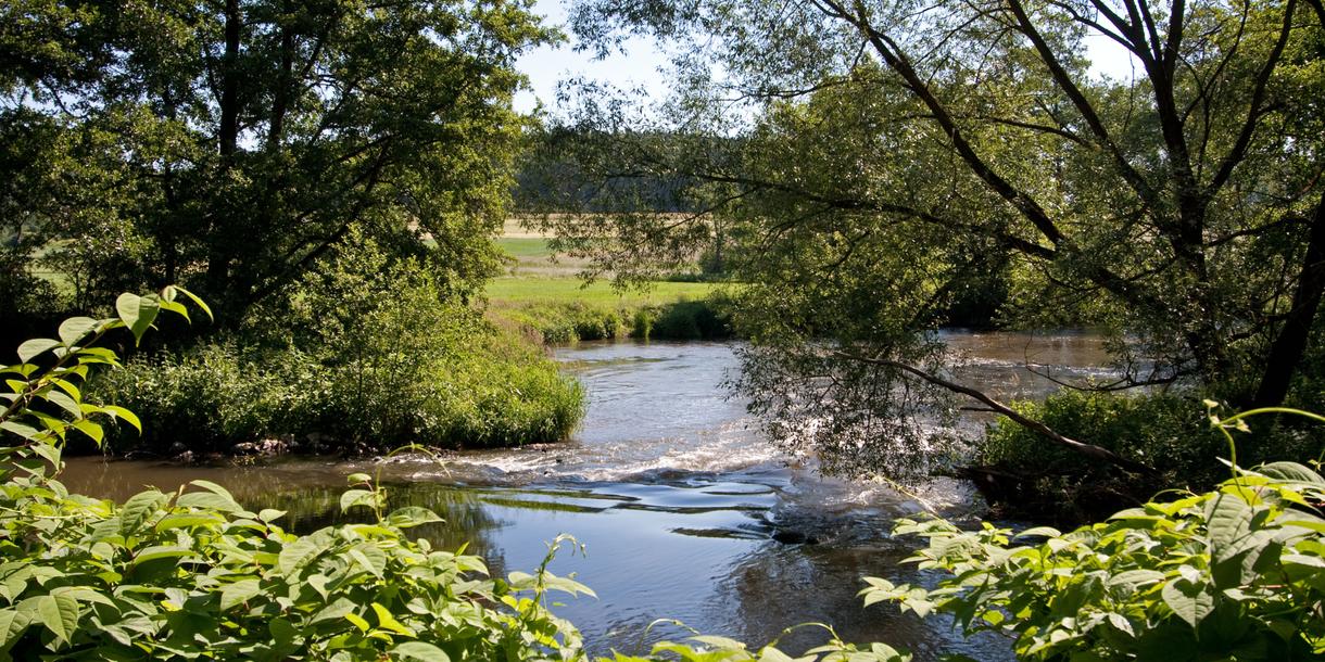 Schwarzachtal-Radweg - Waldmünchen Schwarzachtal-Radweg - Waldmünchen