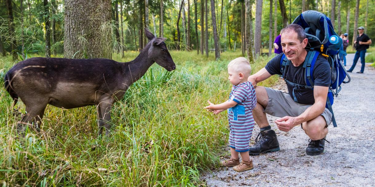 Lechpark Pössinger Au (Wildpark) - Landsberg am Lech Lechpark Pössinger Au (Wildpark) - Landsberg am Lech