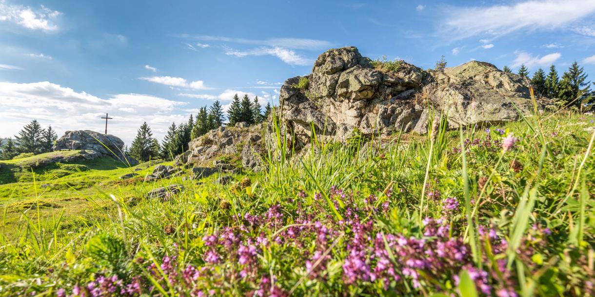 Wildenstein mit Burgstall Wildstein Teunz