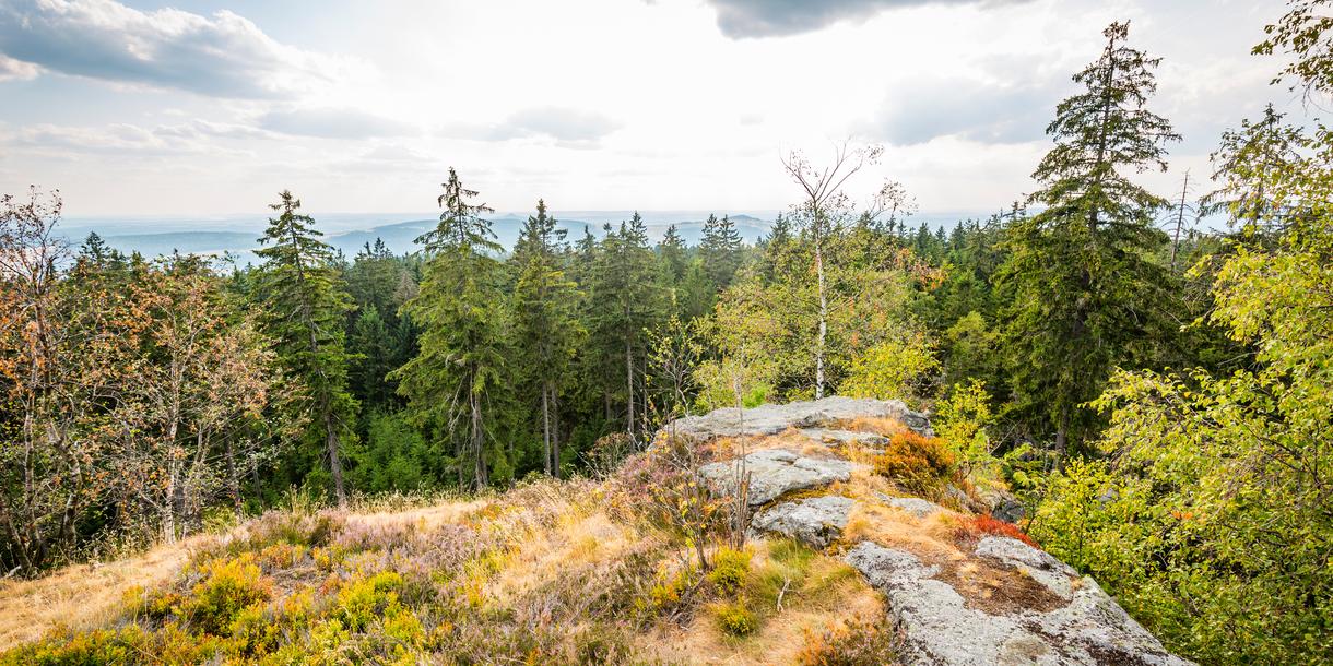 Reiseneggerfelsen (Steinschlatter) Pullenreuth