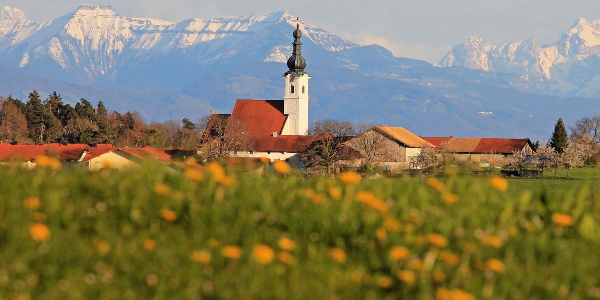 Pfarrkirche St. Martin Tittmoning