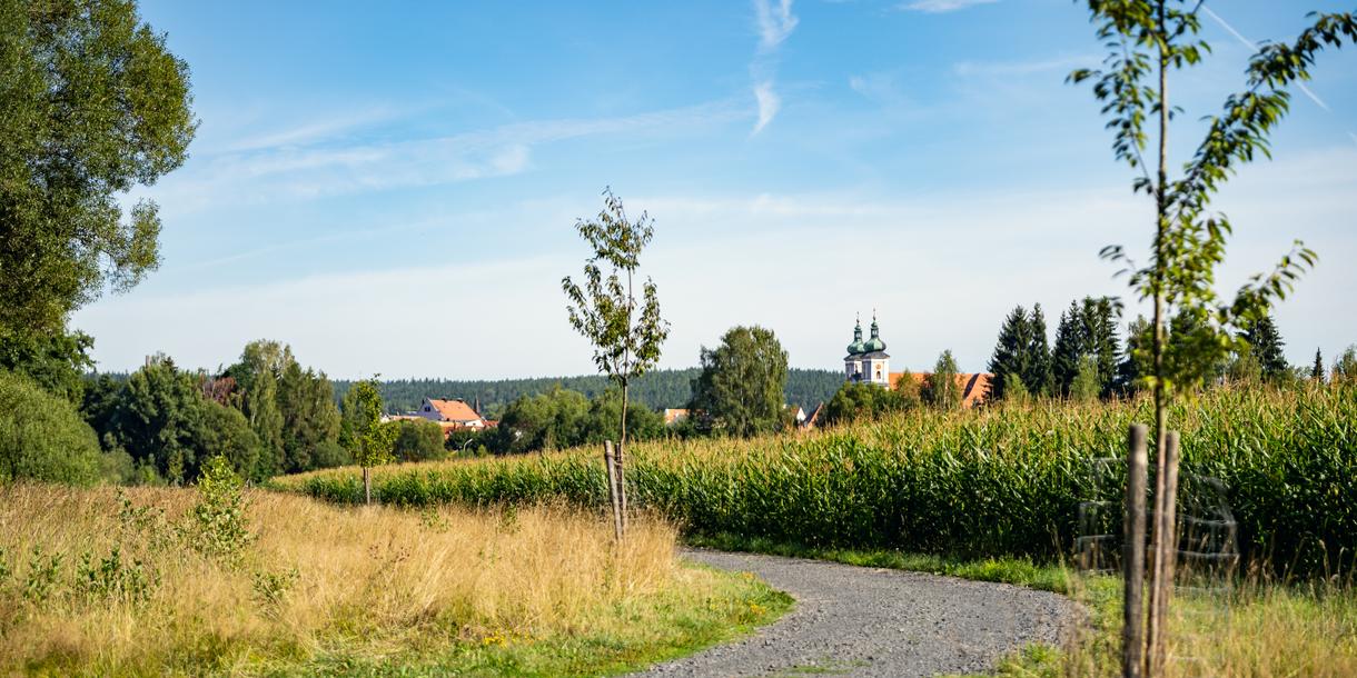 Wassererlebnispfad an der Wondreb Waldsassen