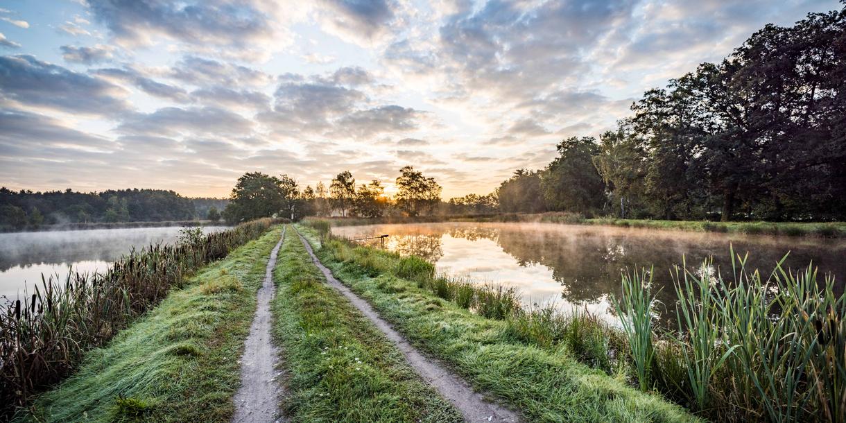 Naturschutzgebiet Charlottenhofer Weihergebiet Schwandorf