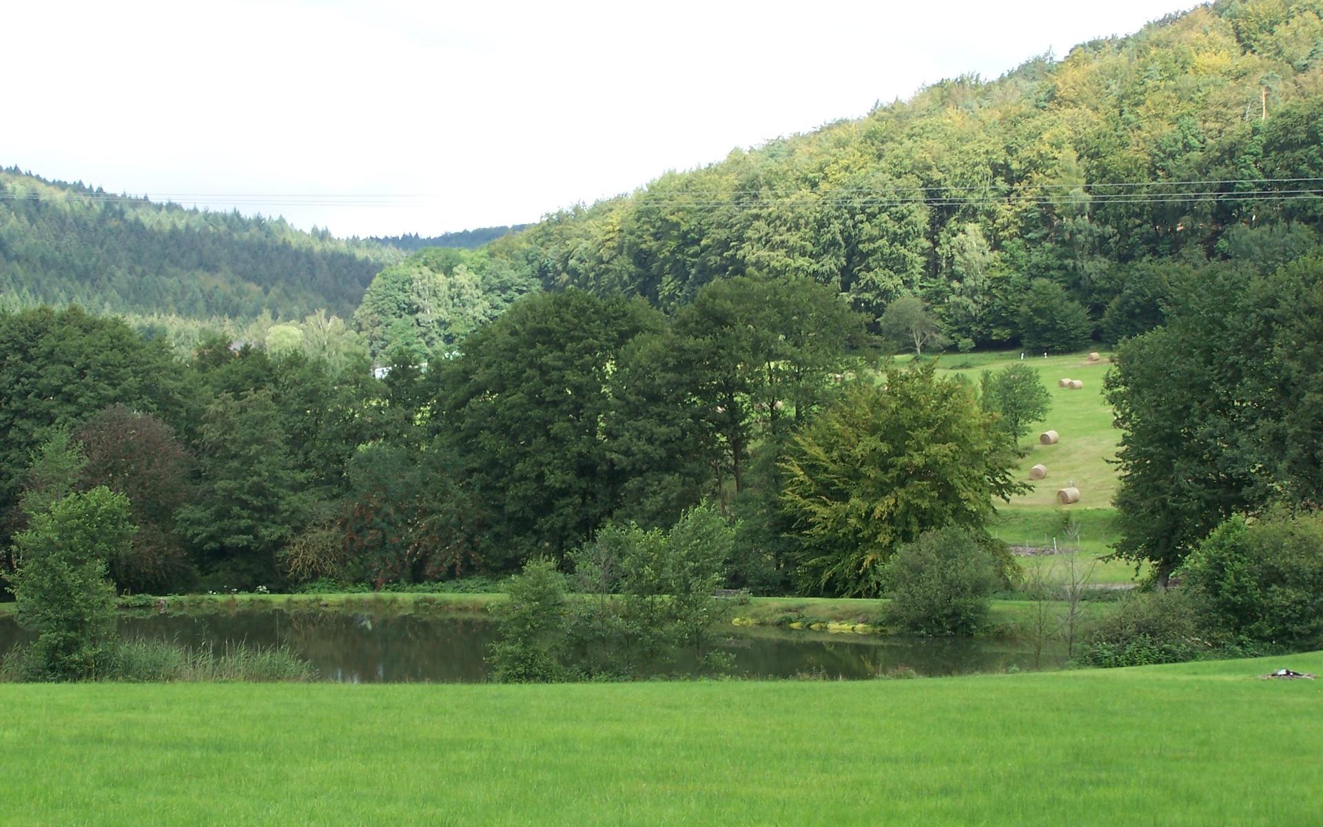 Bikewald Spessart Route B Landkreis Aschaffenburg Nord Heigenbrucken