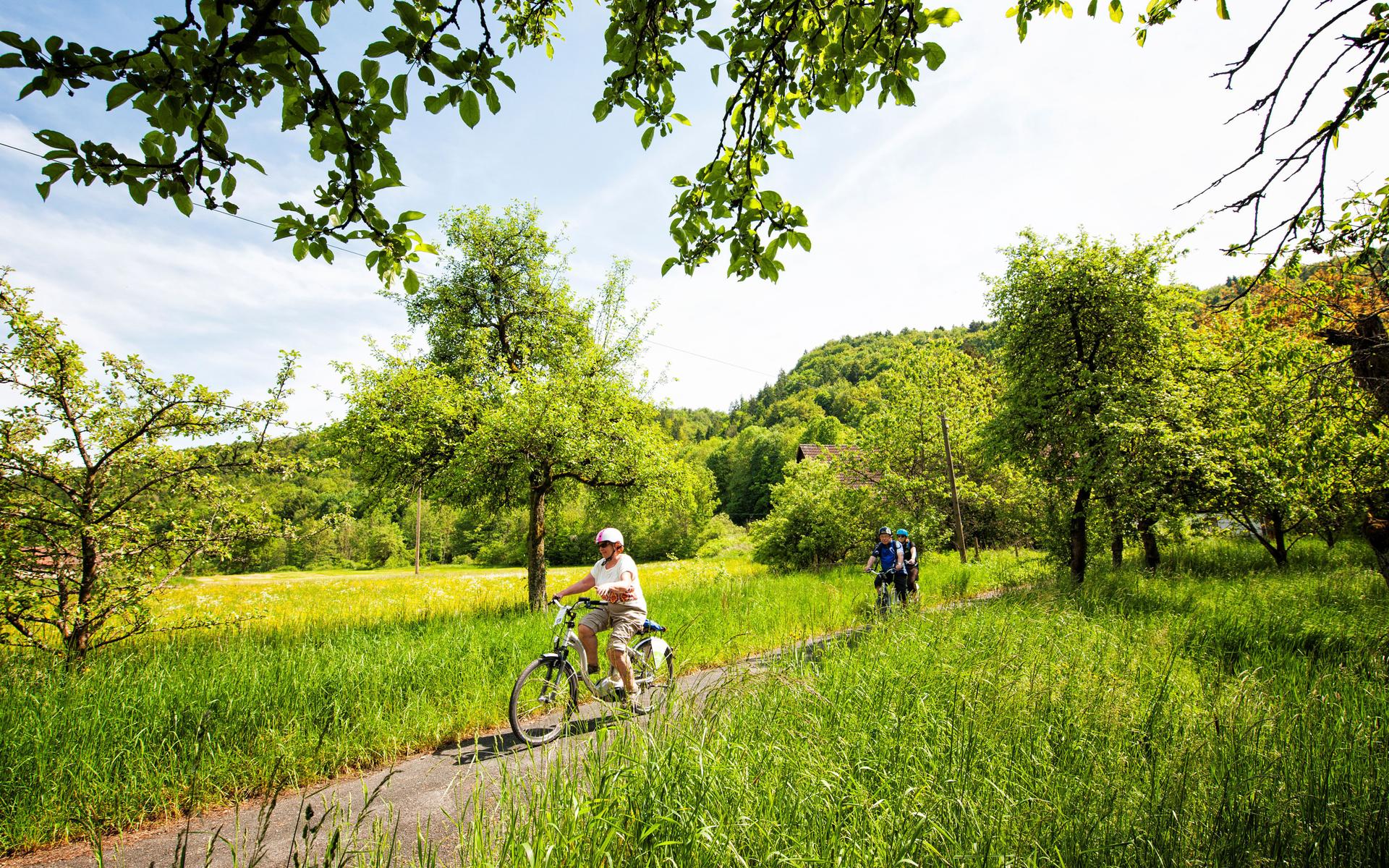 Forchheim Dormitz Ebermannstadt Eggolsheim Effeltrich