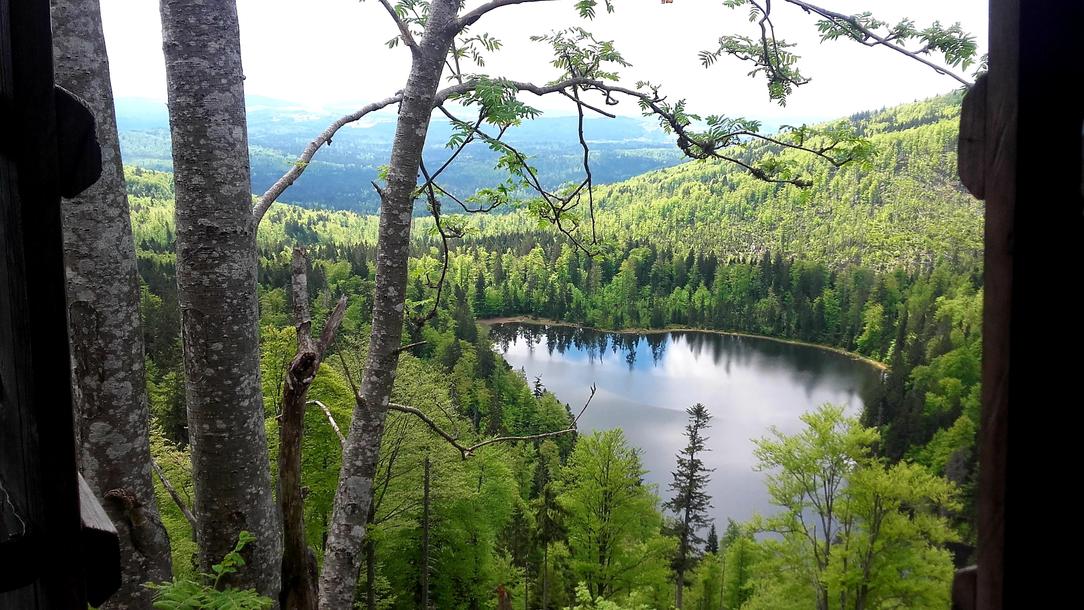 Wanderung auf den Großen Rachel Spiegelau